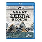 Nature: Great Zebra Exodus