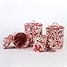 Crow Canyon Home Enamelware 4 Piece Canister Set - Red Marble