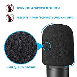 Audio-Technica AT2020 Mic Boom Arm with Foam