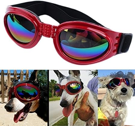 goggles for dogs amazon