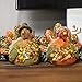 Thanksgiving Decorations Turkey Friends, 2 Piece Set, Cute Fall Decor Home Living Room and Kitchen Autumn Displays, Burlap and Ceramic with Leaves and Jewels