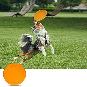 ziidoo Giochi Cane,12 Pezzi Giochi per Cani,Giocattoli di Corda Cane per Cani Grandi Giochi Cane Cucciolo ziidoo ziidoo Giochi Cane,12 Pezzi Giochi per Cani,Giocattoli di Corda Cane per Cani Grandi Giochi Cane Cucciolo