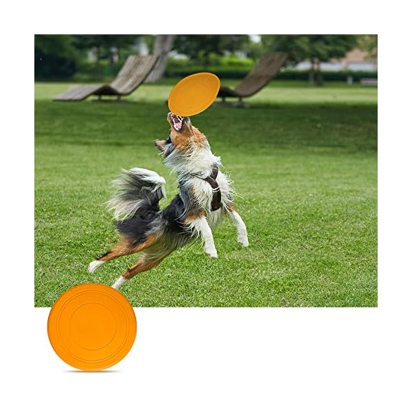 ziidoo Giochi Cane,12 Pezzi Giochi per Cani,Giocattoli di Corda Cane per Cani Grandi Giochi Cane Cucciolo ziidoo ziidoo Giochi Cane,12 Pezzi Giochi per Cani,Giocattoli di Corda Cane per Cani Grandi Giochi Cane Cucciolo