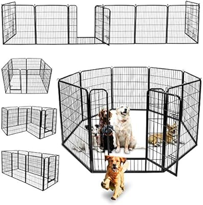 zeny dog fence