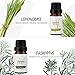 Skymore Essential Oil Gift Set, Top 6 Pure Therapeutic Grade Essential Oil Set, Natural Essential Oils for Aromatherapy Humidifiers Use, 6/10mL-Lavender, Sweet orange, Peppermint, Lemongrass, Tea tree, Eucalyptus