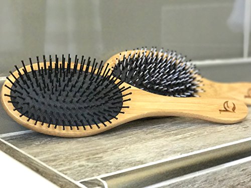 Detangling Brush; Natural Detangler Comb for All Hair Types to Detangle and Smooth Knots Easily; Best Wet Brush or for Dry Hair Styling, Straightening and No Pain Glide Thru; Men, Women and Kids