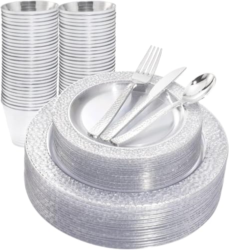 Ciaell Clear Silver Plastic Plates