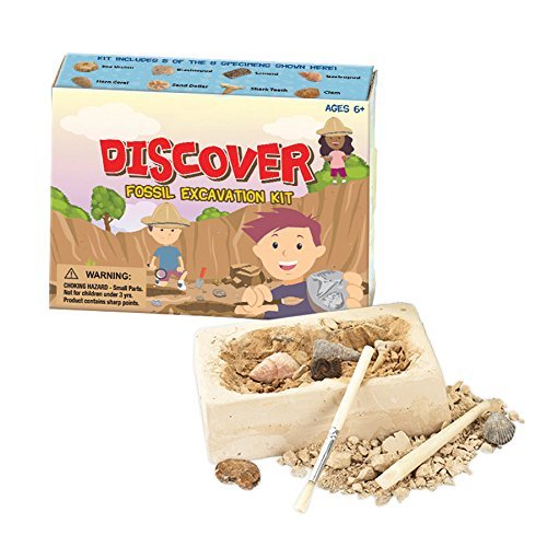 Fossil, Rock, Crystal, Gemstone Discovery Bundle / 3 Fun Learning Kits / Rock and Crystals Excavation Dig Kit, Fossil Digging Kit, and Natural Gemstones Geology Kit for Kids