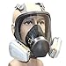 Holulo Full Face Facepiece Respirator Paint Spray Mask with 2 x Organic Vapor Cartridges