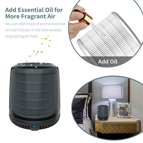 QUEENTY Mini Air Purifier - Desktop Air Cleaner with True HEPA Filter Odor Allergies Eliminator for Smoke, Dust, Home, Office and Pets FG05