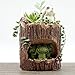 Tinksky Cute Green Frog Flower Sedum Succulent Pot Planter Bonsai Trough Box Plant Bed Office Desk Home Garden Pot Decor