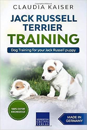 how to train your jack russell puppy