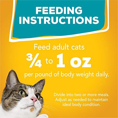 PURINA FRISKIES WET CAT FOOD VARIETY PACK, TASTY TREASURES PRIME FILETS (WITH CHICKEN AND TUNA, WITH CHICKEN, AND WITH OCEAN FISH AND TUNA, AND WITH TURKEY) – (PACK OF 24) 5.5 OZ. CANS