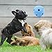 Interactive Dog Ball by FurryFido, Dog toys ball and treat dispensing for dogs,cat and small animals. Funny Dog Puzzle and Dog Toys for Boredom and Thinking (Ball)1 pack