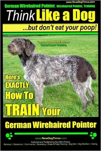 wirehaired pointer puppy