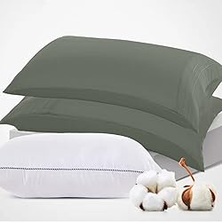 AuTmtes Brushed Body Pillowcases Queen Standard Set