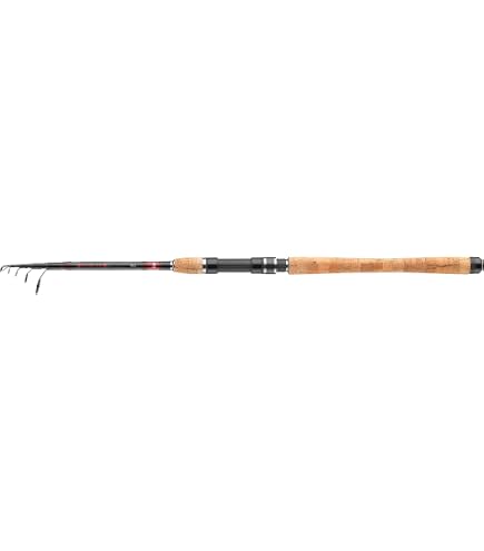 Amazon.com: DAIWA B.B.B 6106TMLFS : Sports & Outdoors