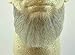 Full Chin Beard LIGHT GREY w/ Spirit Gum - REALISTIC! Perfect for Theater and Stage - Reusable! 2023