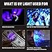 Dialeesi Laser Pointer for Cats USB Rechargeable, Cat Dog Interactive Lazer Toy, Pet Training Exercise Chaser Tool, 3 Mode - Red Light LED Flashlight UV Light with A Squeaky Mouse