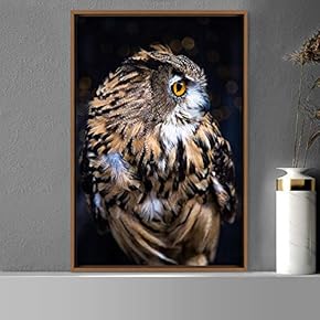 signwin Framed Canvas Wall Art Owl Birds Dramatic...