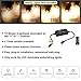 Outdoor Dimmer for String Lights,350 W String Light Dimmer Switch,100 FT Remote Control Dimming Timer for Led Light,Lamp and Patio Light,Dimmer for Outdoor String Light,Dimmer Plug,Timer,Waterprooof
