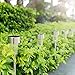 iHomy 12 Pack Solar Lights, Outdoor Garden Lights, Landscape Lighting, Pathway Lights for Lawn, Patio(Stainless Steel)