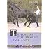 Training the Horse in Hand: The Classical Iberian Principles