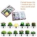 Outee Cactus Tealight Candles 12 Pack Handmade Delicate Succulent Cactus Candles Flameless Aromatherapy 12 Designs for for Birthday Party Wedding Spa