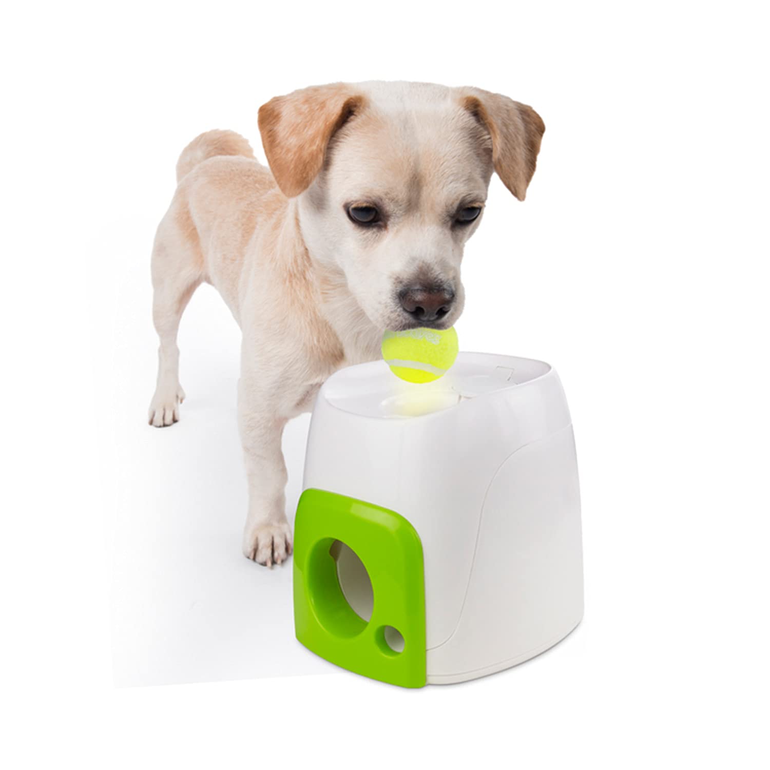 ALL FOR PAWS Interactives Fetch'N Treat Toy for Dogs Multi