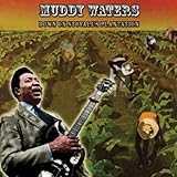 Down on Stovall's Plantation