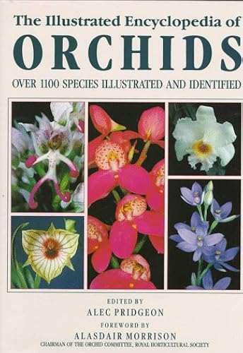 Download The Illustrated Encyclopedia of Orchids PDF