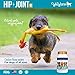 WagWorthy Naturals Advanced Hip and Joint Supplement for Dogs with Chondroitin, MSM and Glucosamine for Dogs, Improves Mobility, Arthritis Pain Relief for Dogs, 60 Chewable Tablets, Made in USA