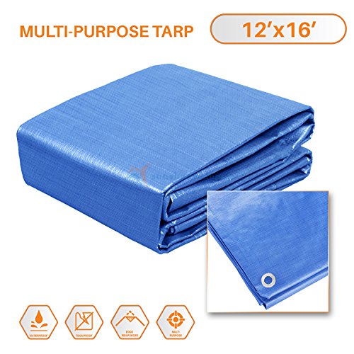 Sunshades Depot 12x16 Feet General Multi-Purpose 5 Mil Waterproof Blue Multi Purpose Waterproof Poly Tarp Cover 5 Mil Thick 8x8 Weave