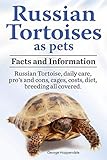 Russian Tortoises as Pets. Russian Tortoise: Facts and Information. Daily Care, Pro's and Cons, Cage Russian Tortoises as Pets. Russian Tortoise: Facts and Information. Daily Care, Pro's and Cons, Cage