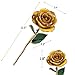 zjchao 24K Yellow Rose for Her, Eternal Eternity Love Real Gold Plated Rose Flower, Romantic Present for Wife, Girlfriend, Anniversary, Parting, Apologize (Yellow)