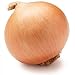 Yellow Onion, One Large primary