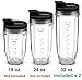 Nutri Ninja 32 oz Tritan Cups with Sip & Seal Lids. Compatible with BL480, BL490, BL640, & BL680 Auto IQ Series Blenders (Pack of 2)
