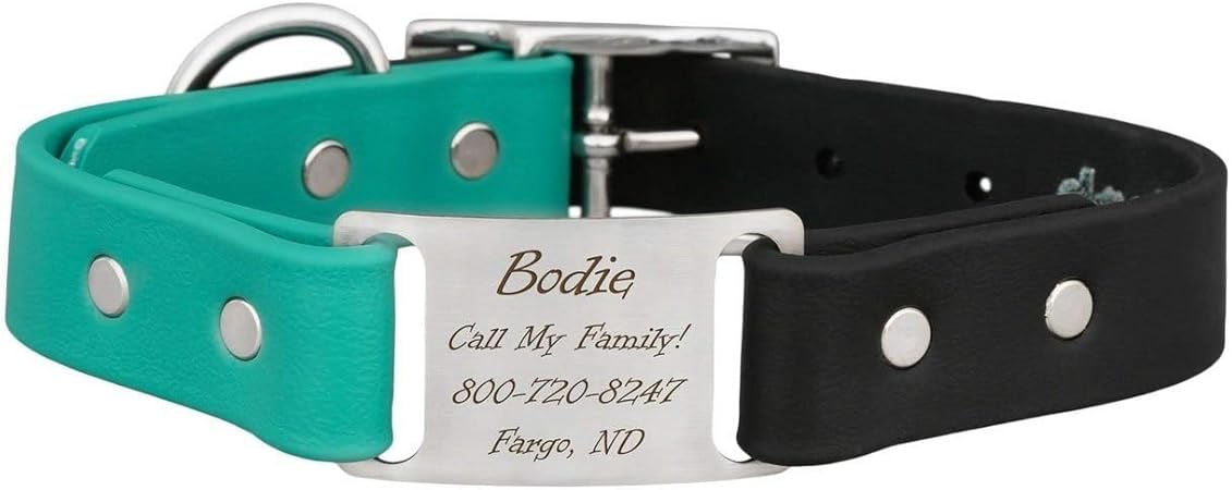 dog collar name plate built in