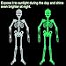 Halloween Decoration Decor Posable Skeleton - Luminous Noctilucent Life Size Plastic Skeleton, Outdoor Crazy Scary Hanging Props, Clearance