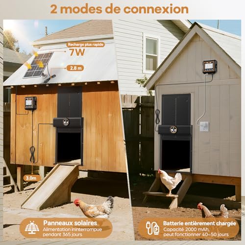 Large Automatic Solar Chicken Coop Door with Waterproof Controller, Automatic Aluminium Solar Chicken Coop Door with Light Sensor, Timer, Anti-Pinch Function, 24 x 27.5 cm