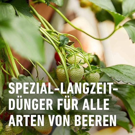 COMPO Beeren Langzeit-Dünger für Beeren, Obst und Feingemüse, Umweltschonendere Rezeptur, 6 Monate Langzeitwirkung, 2 kg, 45 m² 4