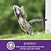Wellness Complete Health Cubed Adult Wet Cat Food, Natural, Protein-Rich, Grain Free, 5.5 Ounce , 24 Pack, (Turkey Entrée)