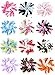 HipGirl Boutique 12pc Set 2.5