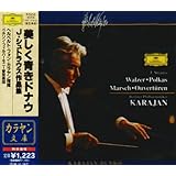 シュトラウス:美しく青きドナウ