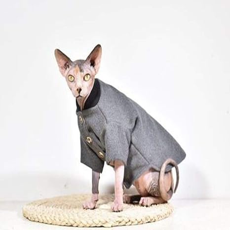 Myyxgs Vetements Sphinx Vetements Chat Sans Poils Articles Pour Animaux Domestiques Chatons Pour Chats Sphinx Sans Poils M Amazon Fr Animalerie