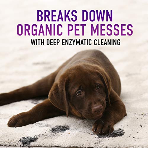 2 Hoover+Cleaning+Concentrated+Solution+AH30933