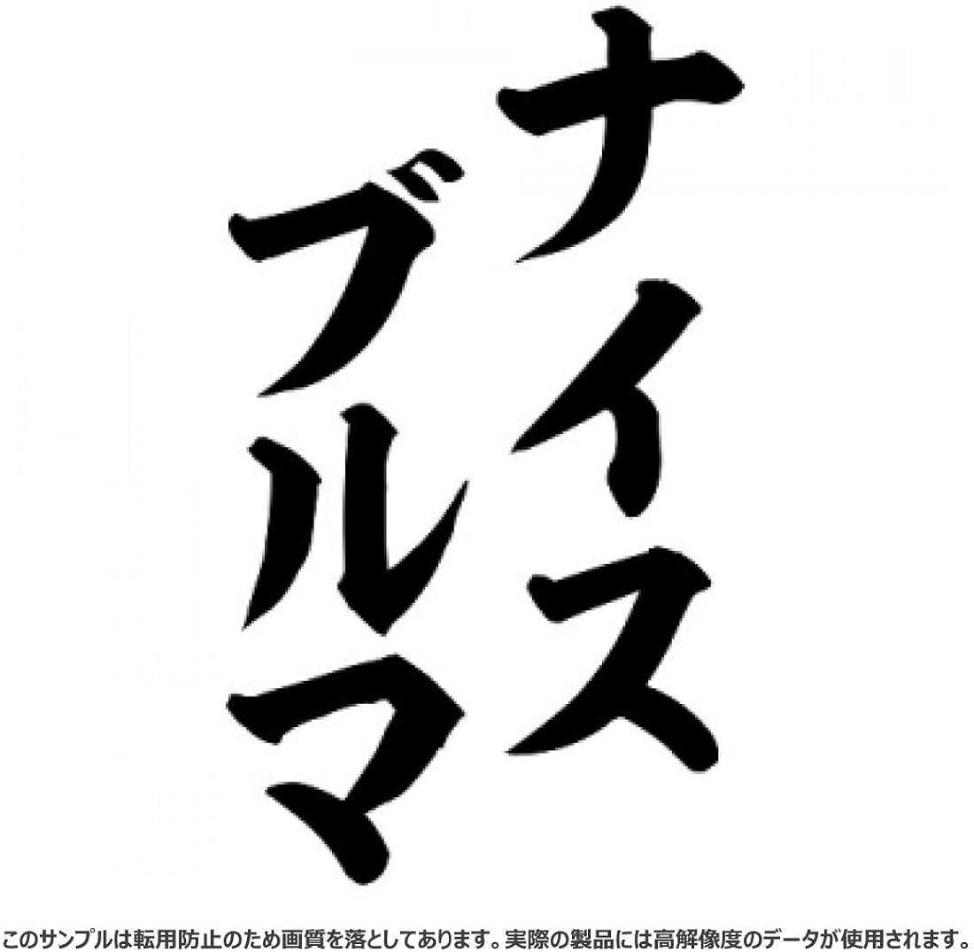 Amazon Co Jp ナイスブルマ ラグランtシャツ 服 ファッション小物