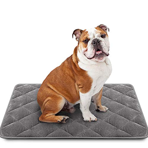 LOCHAS Luxury Flannel Dog Mat Pet Bed 24”x36”, Soft Crate Pad Mats for Dogs & Cat, Washable Absorbent Puppy Furniture Protection Pads with Diatomaceous Bead, Grey