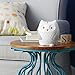 Skip Hop Moonlight and Melodies Nightlight Soother, Owl