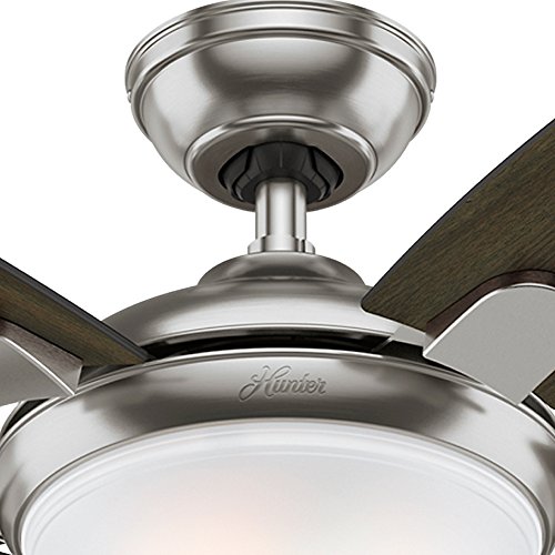 Hunter Indoor Ceiling Fan With Light And Remote Control Contempo